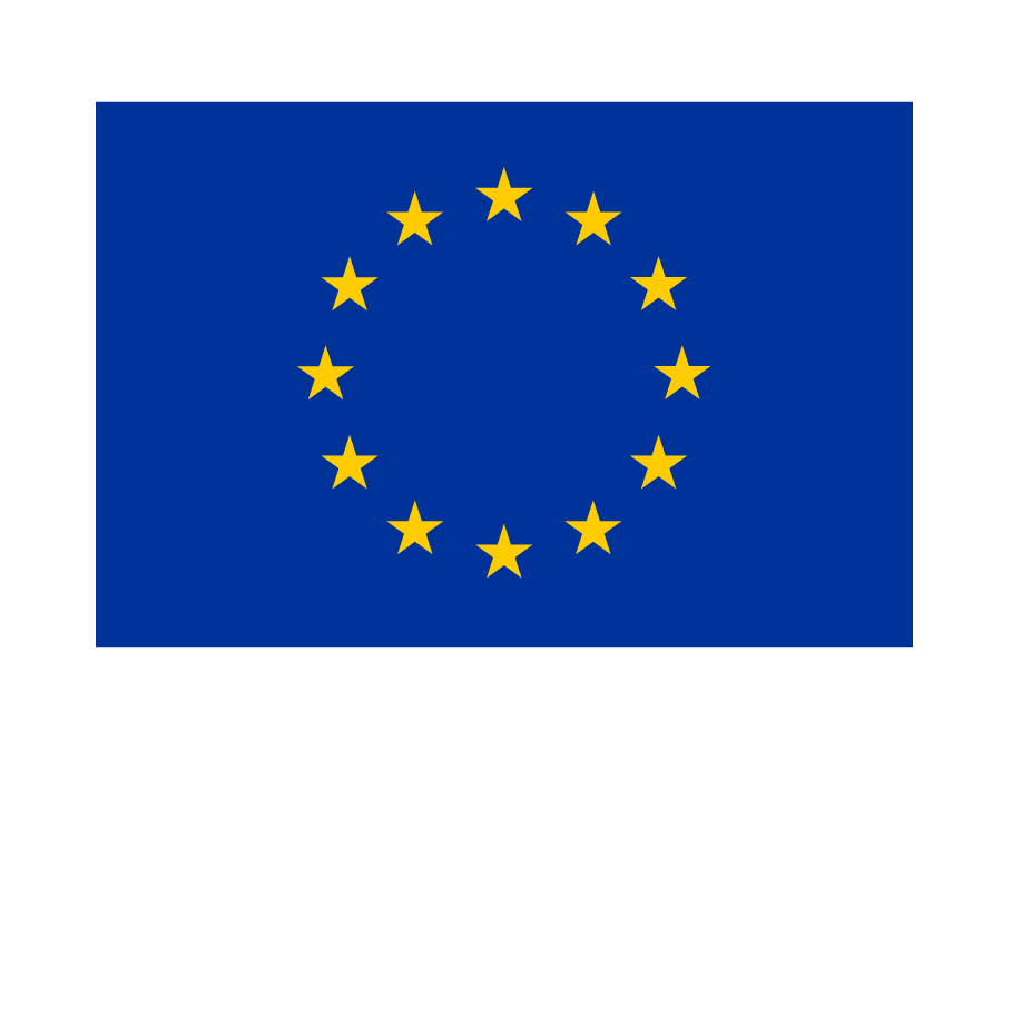 Finanziert von der Europäischen Union