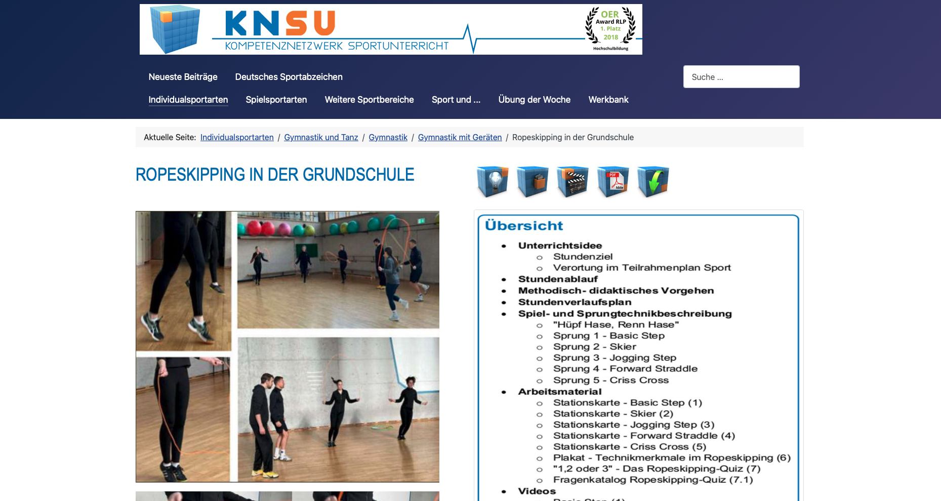 Cover: Ropeskipping in der Grundschule 